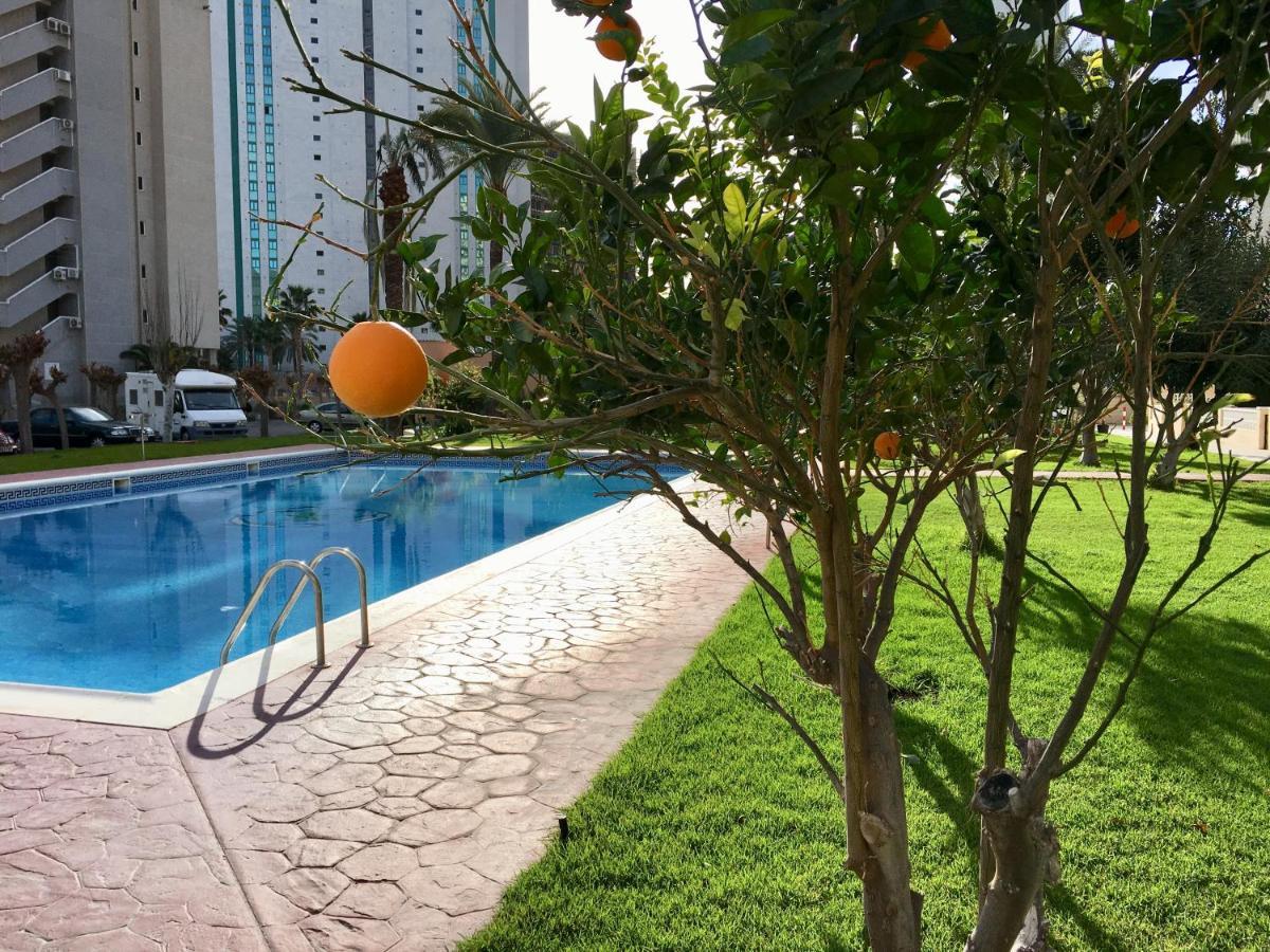 Beach Studio Apartment Hannibal La Cala Finestrat 베니돔 외부 사진