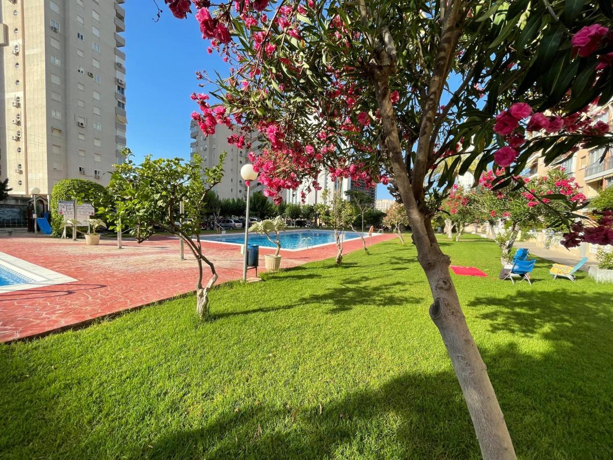 Beach Studio Apartment Hannibal La Cala Finestrat 베니돔 외부 사진